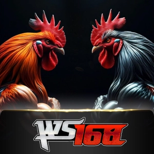ws168 - sponsor777